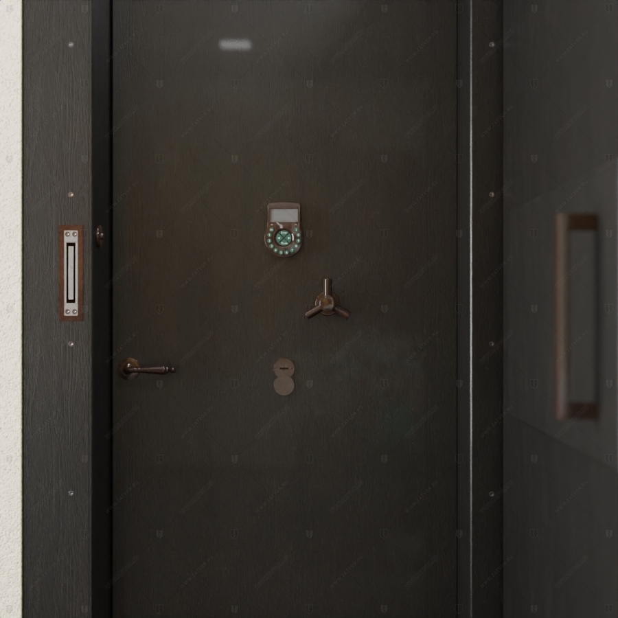 Комплект из двух дверей: пожаростойкая внутренняя дверь "Лахеса" БАСТИОН-3 и выкатной книжный шкаф с полками_9