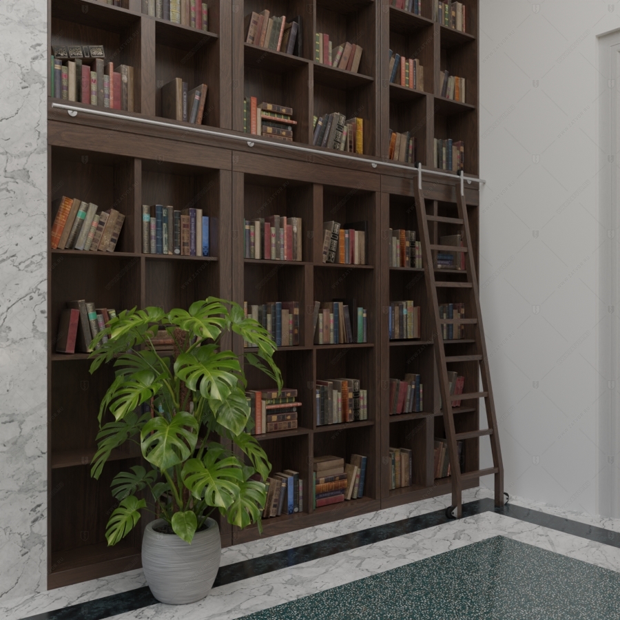 Скрытая дверь "Аргос" СуперЛюкс с панелью в виде книжного шкафа_4