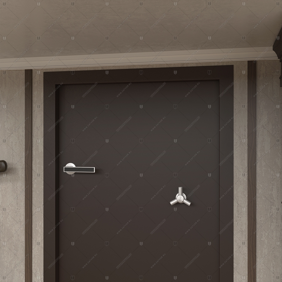 Защитная дверь "Ройк" БАСТИОН-3_6