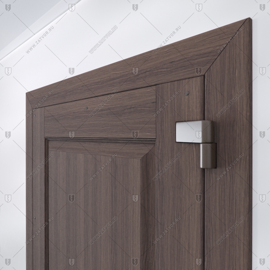 Пожаростойкая входная дверь "Теомис" БАСТИОН-3 EIS60_10