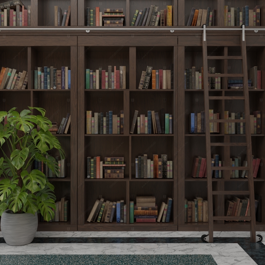 Скрытая дверь "Аргос" СуперЛюкс с панелью в виде книжного шкафа_2