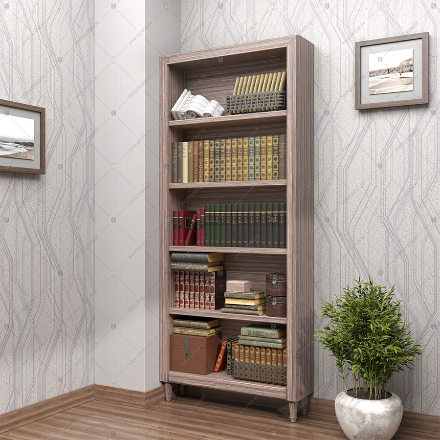 Внутренняя скрытая дверь "Теллура" БАСТИОН-3 в потайное помещение, замаскированная за книжными полками_4