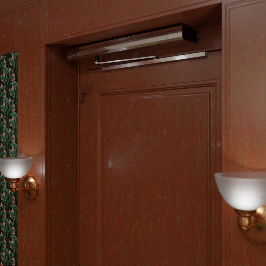 Скрытая дверь "Зеве" СуперЛюкс с панелью в виде книжного шкафа_9