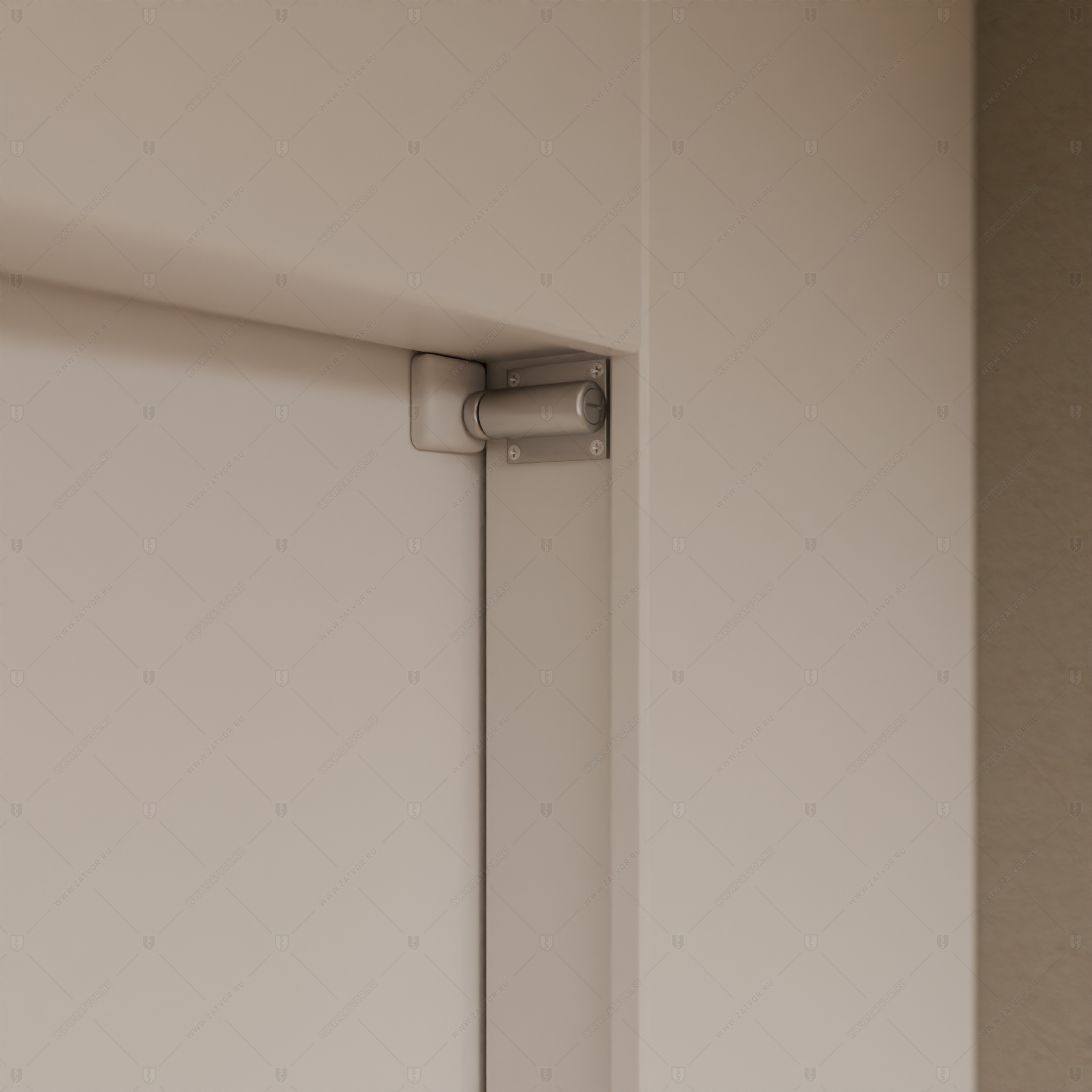 Скрытая (потайная) дверь "Панопт" БАСТИОН-1 с наружной панелью из зеркальной плитки_9