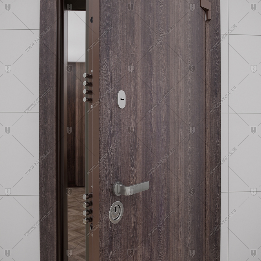 Взломостойкая входная дверь "Анатолия" БАСТИОН-1_8