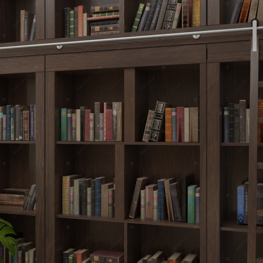 Скрытая дверь "Аргос" СуперЛюкс с панелью в виде книжного шкафа_8