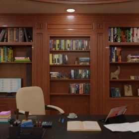 Скрытая дверь "Зеве" СуперЛюкс с панелью в виде книжного шкафа_0